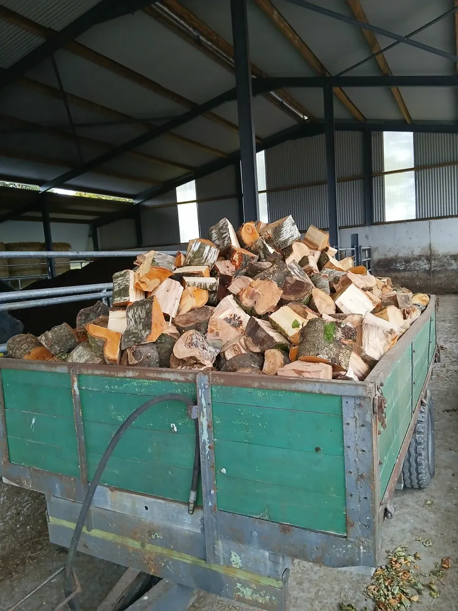 Trailer of timber - Image 1