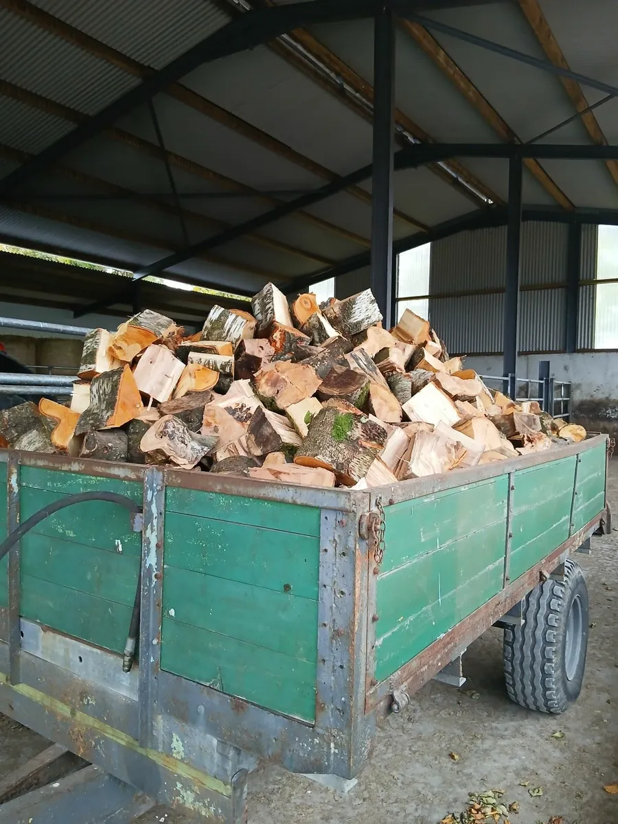 Trailer of timber - Image 4