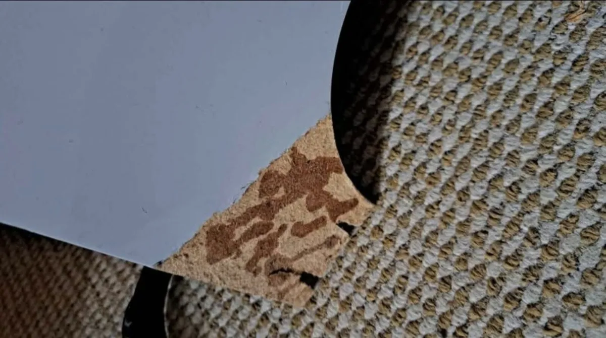 Ikea Cot bed - Image 3