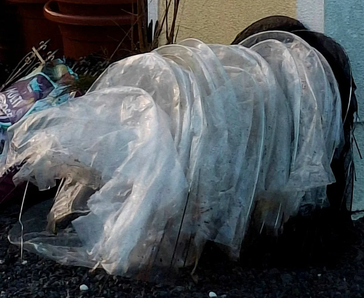 Flexible garden tunnels (cloches).