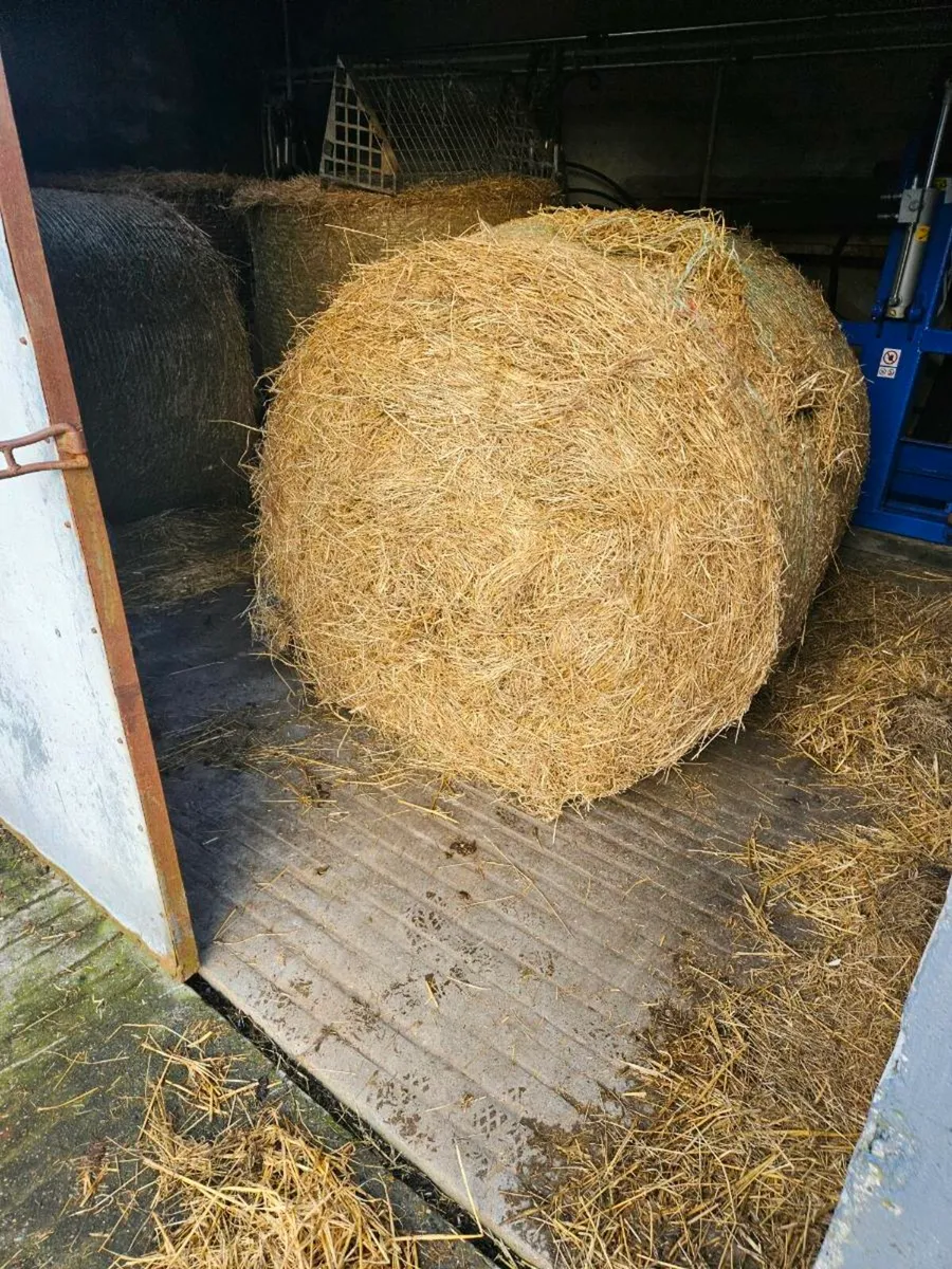 hay