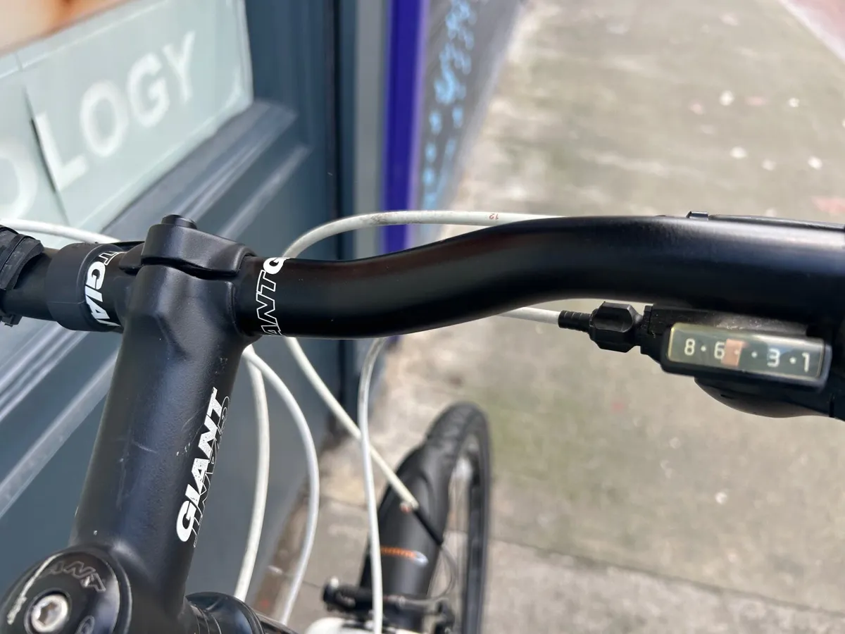 Giant Roam ❗️Open 7 days of the week ❗️ - Image 3