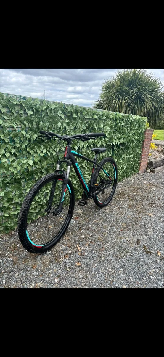 Bike Orbea - Image 2