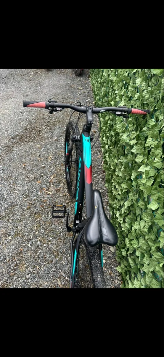 Bike Orbea - Image 3