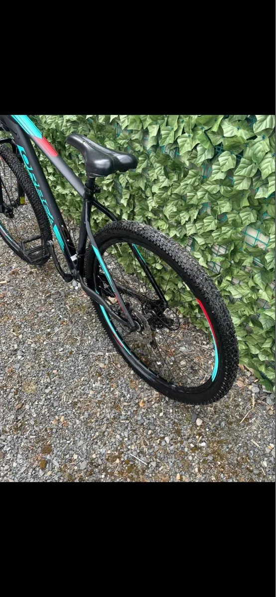 Bike Orbea - Image 4