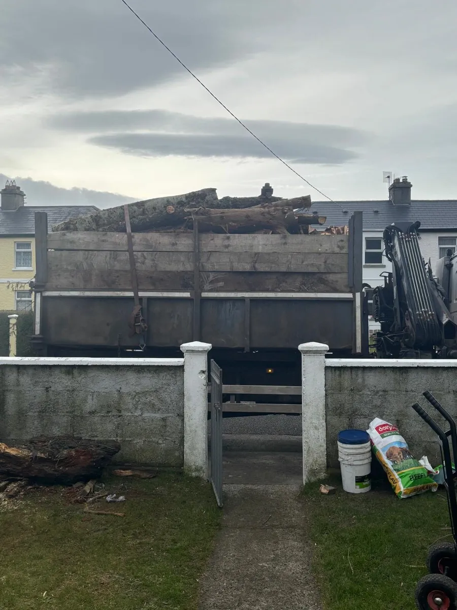 Timber in Lenghts - Image 2