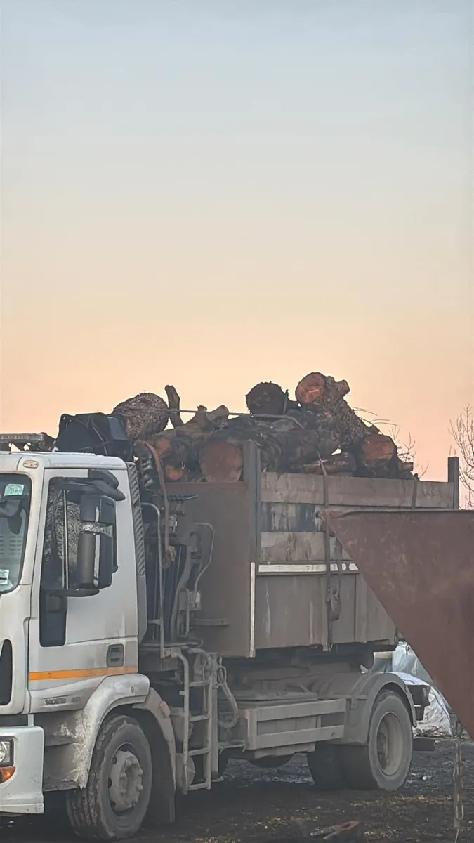 Timber in Lenghts - Image 3