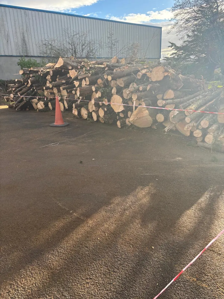 Timber in Lenghts - Image 1