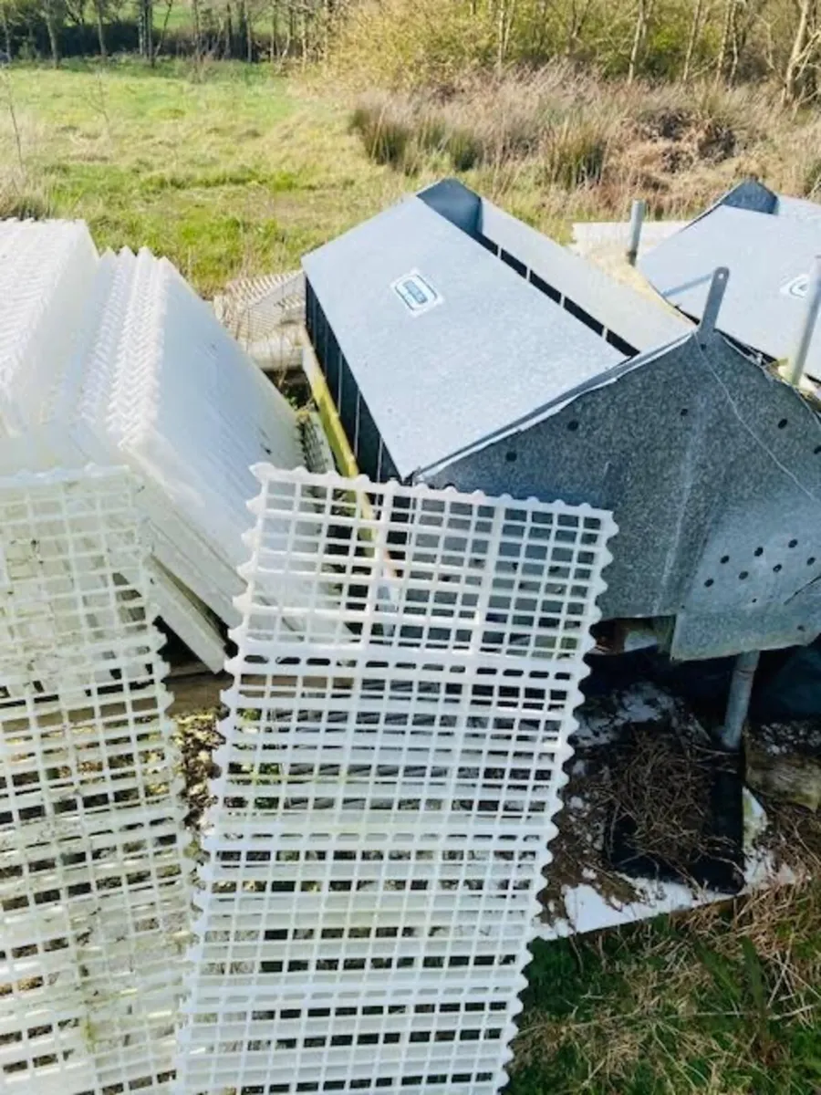 egg laying boxes and slats - Image 2