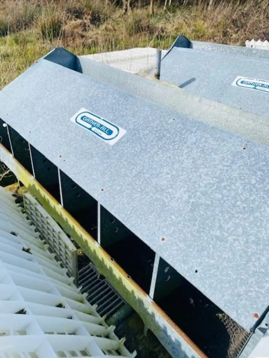 egg laying boxes and slats - Image 3