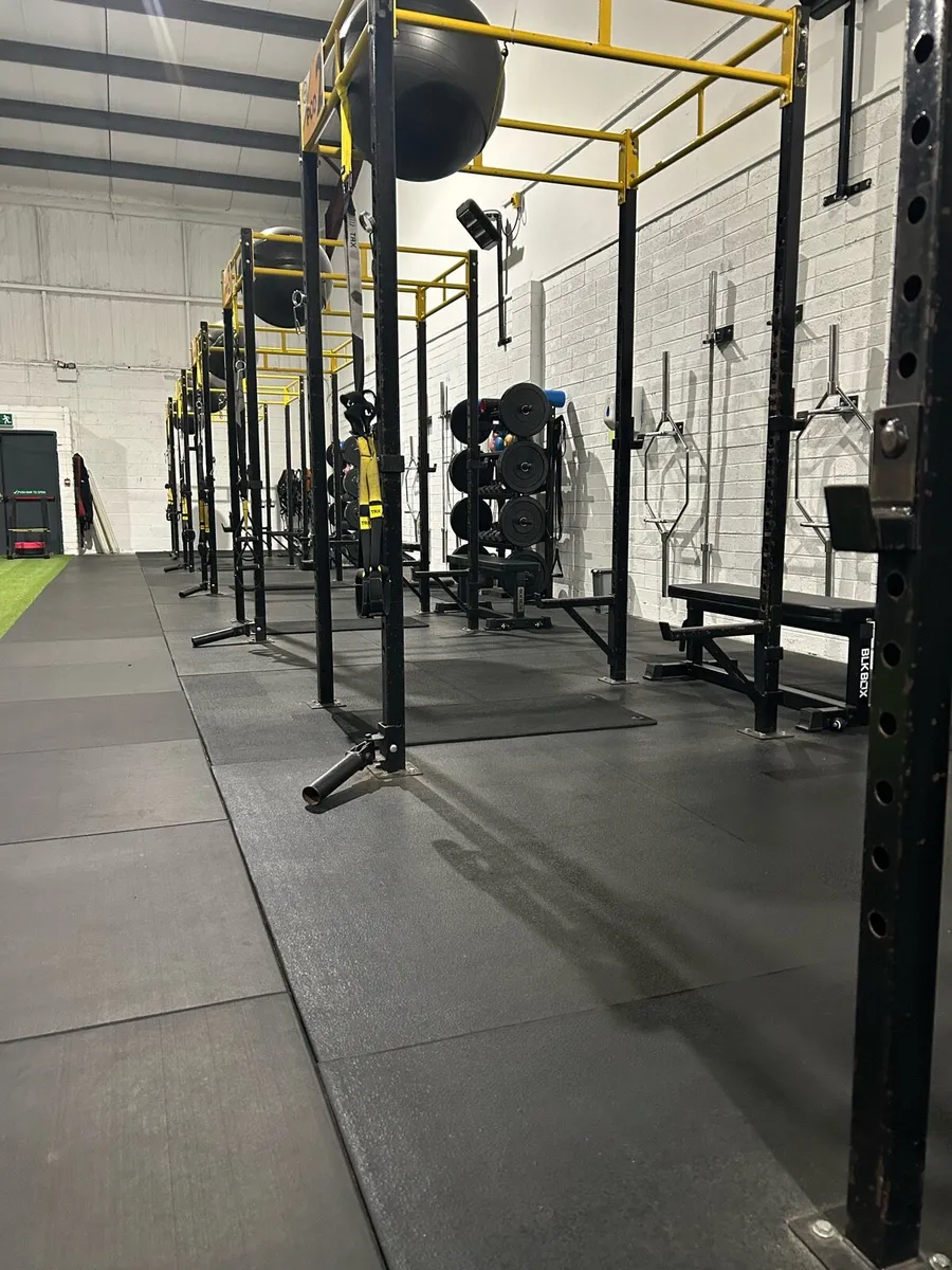 Freestanding Squat Racks - Image 1