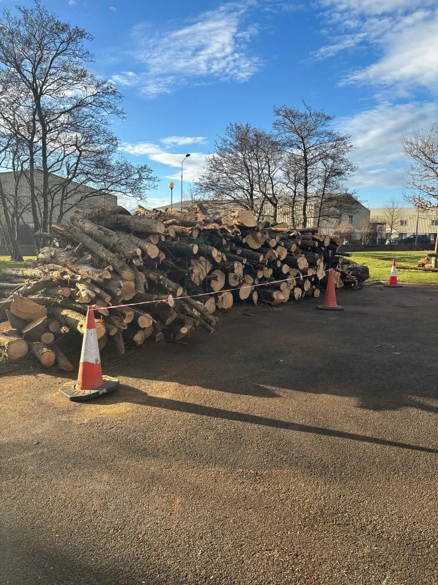 Timber in Lenghts - Image 1