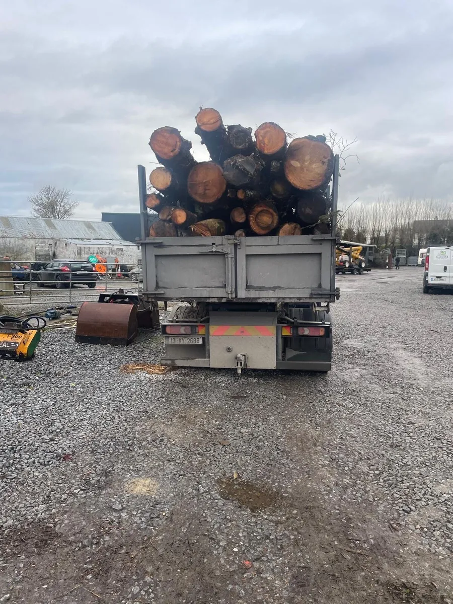 Timber in Lenghts - Image 4