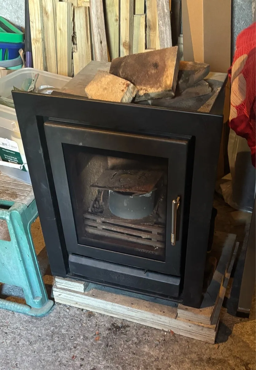 Inset fire - Image 1