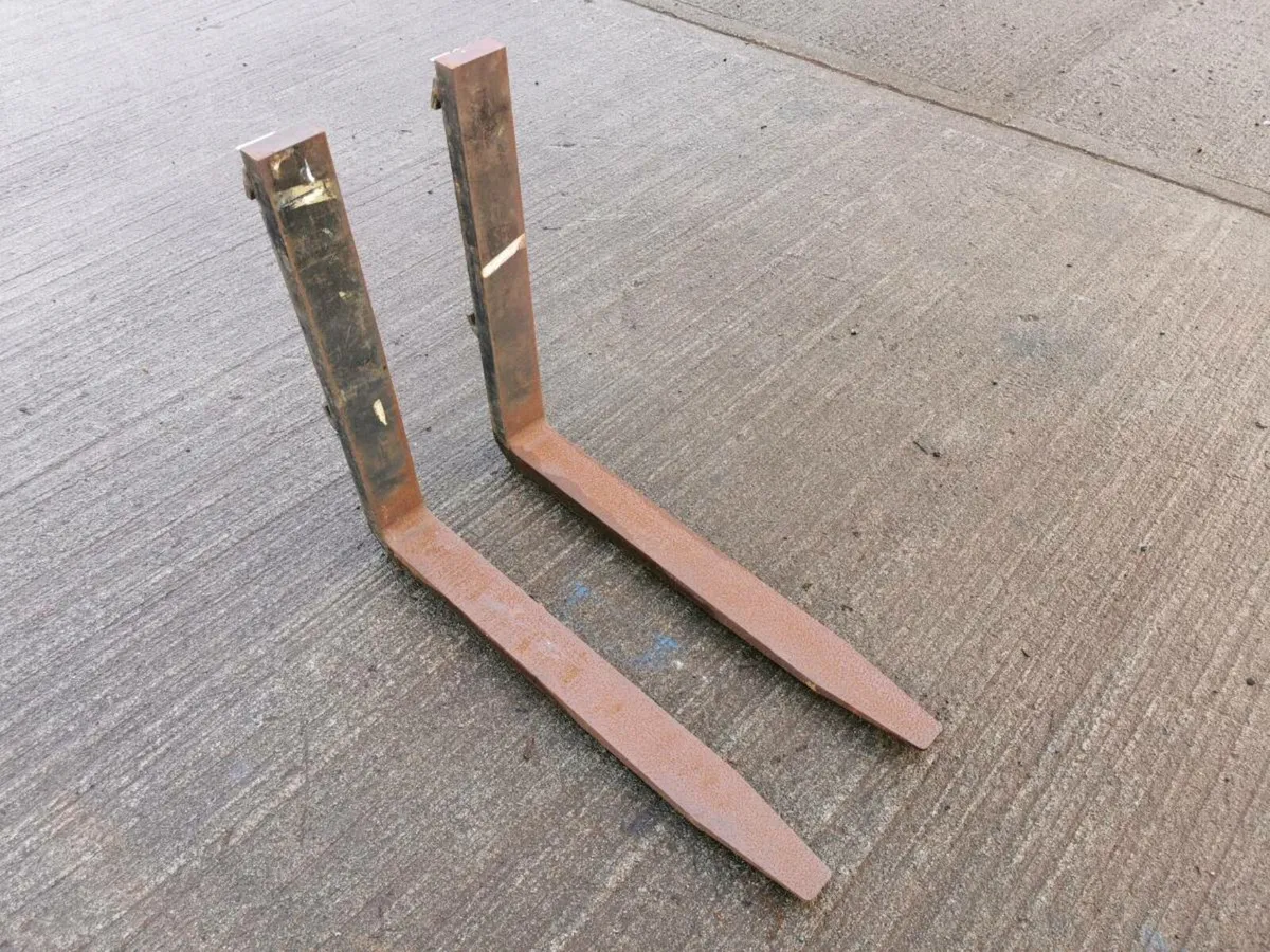 Pallet Forks - Image 1