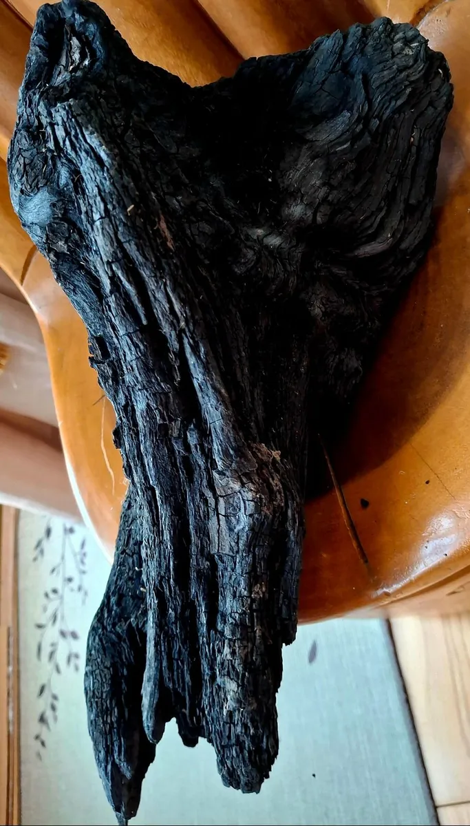 Ancient Irish Bog Oak Sculpture - 5,000+ Yrs Old - Image 1