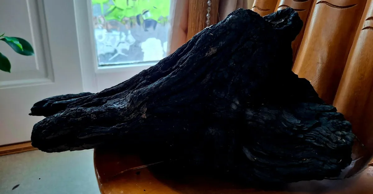 Ancient Irish Bog Oak Sculpture - 5,000+ Yrs Old - Image 2