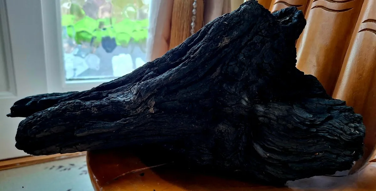 Ancient Irish Bog Oak Sculpture - 5,000+ Yrs Old - Image 4