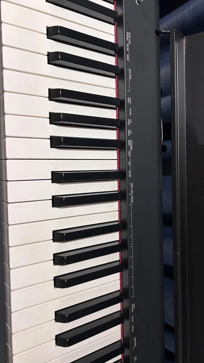 Casio Digital Piano - Image 4
