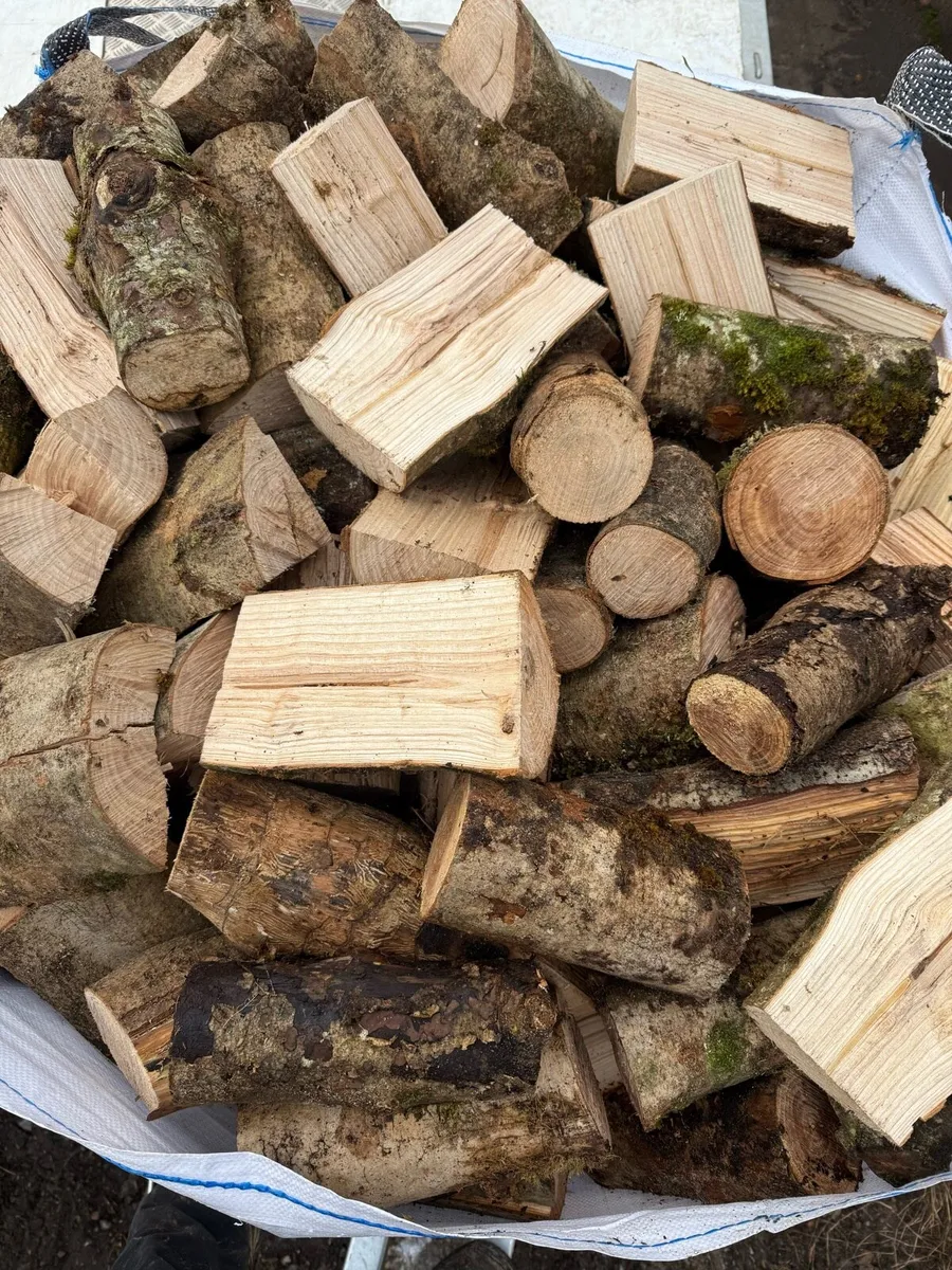 Firewood - Image 2