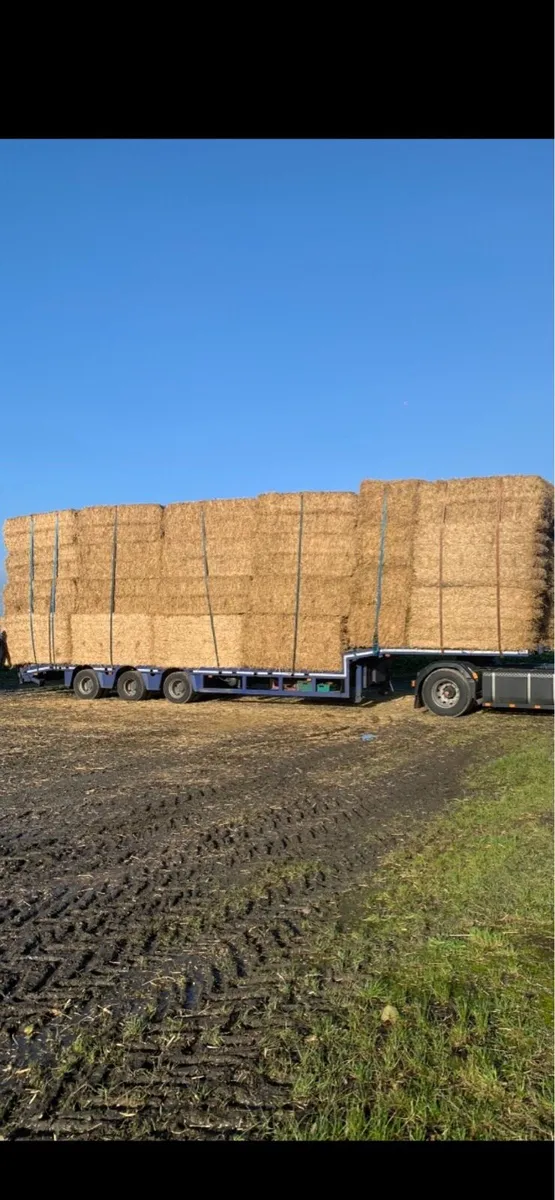 Wheaten straw - Image 2