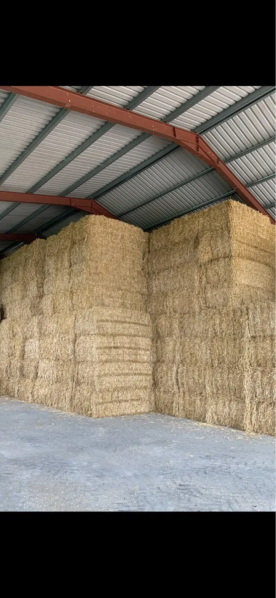 Wheaten straw - Image 1