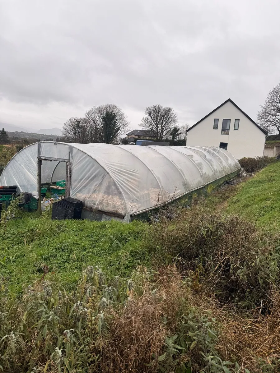 Commercial Polytunnels - Image 1