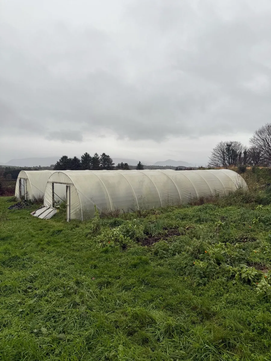 Commercial Polytunnels - Image 2
