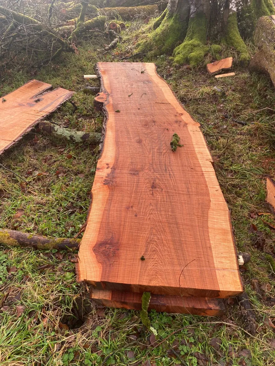 live edge elm boards - Image 4