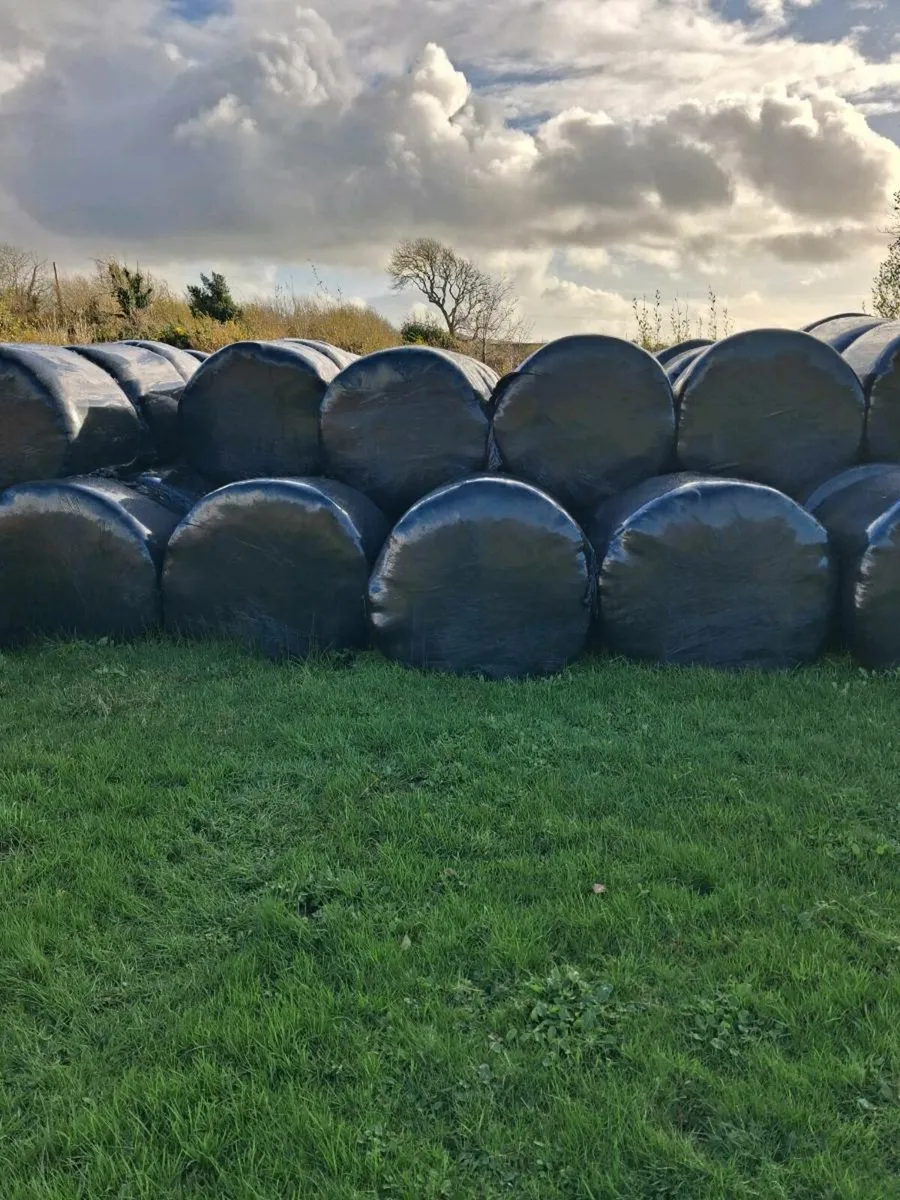 Silage bales - Image 2