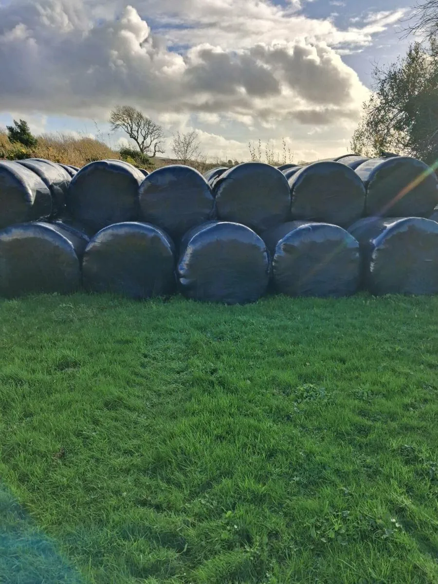 Silage bales - Image 3
