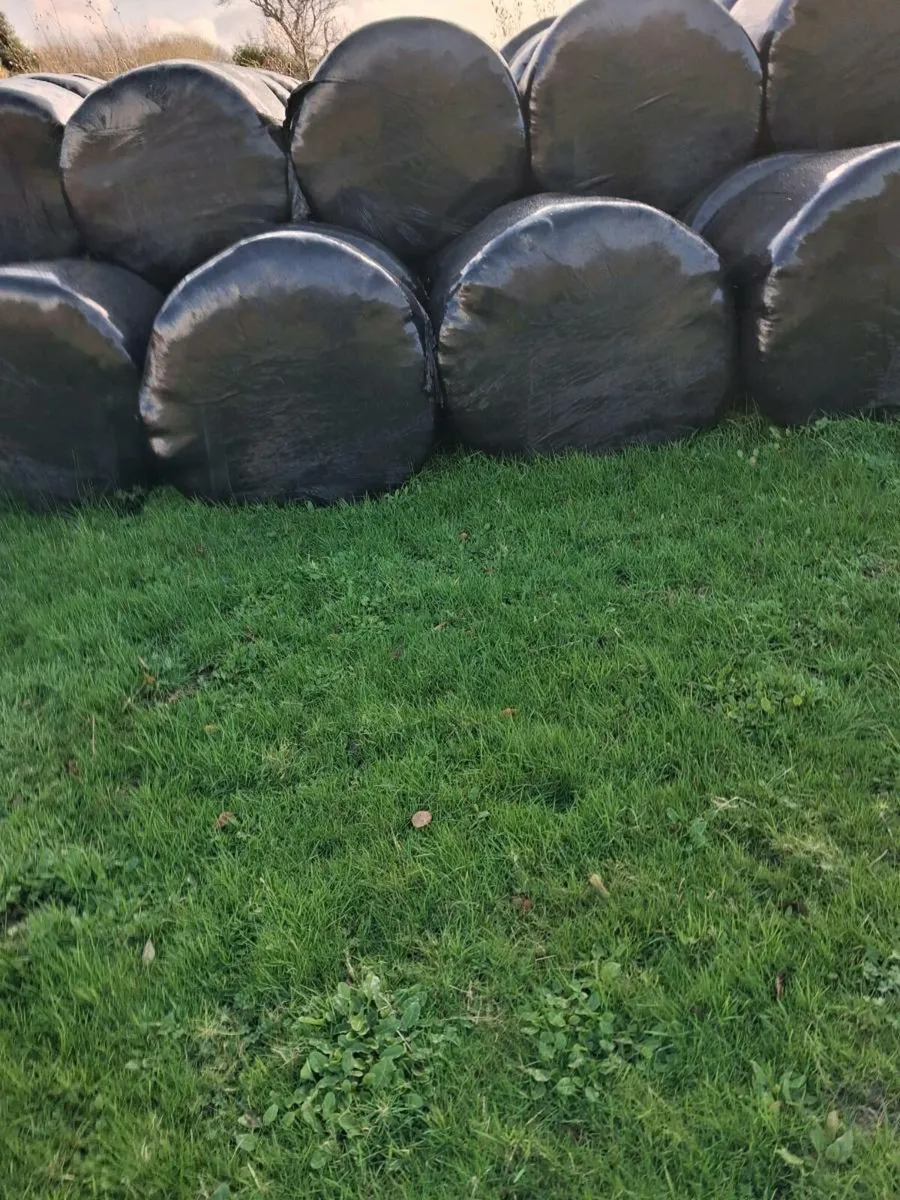 Silage bales - Image 4