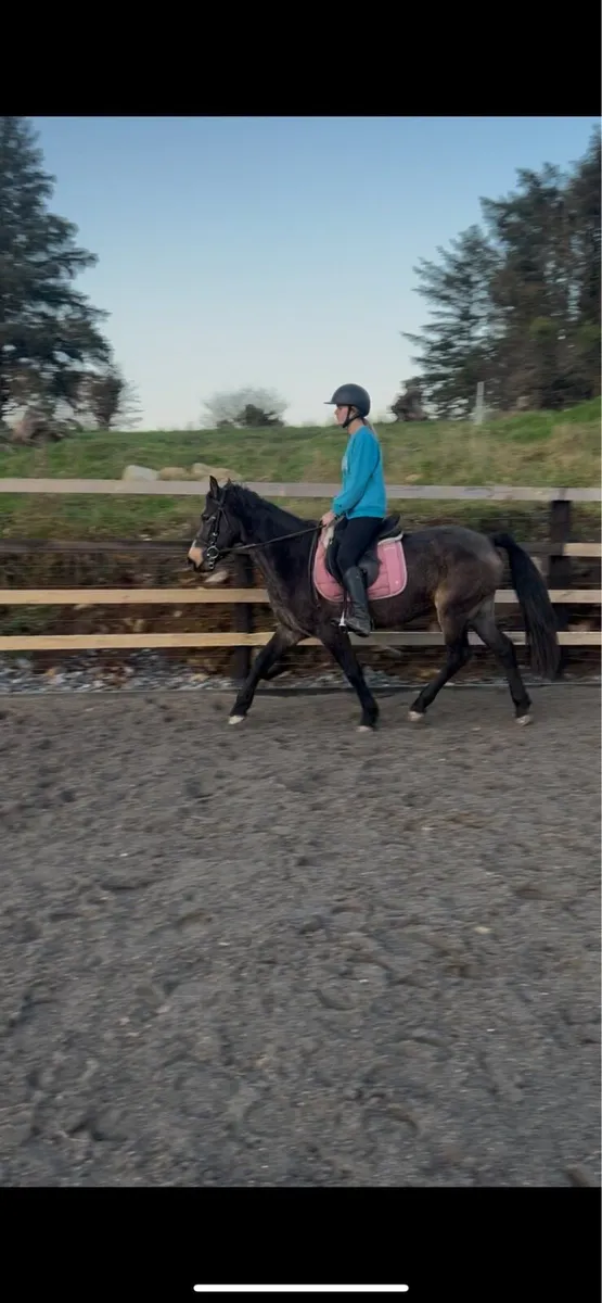 Full Connemara - Image 3