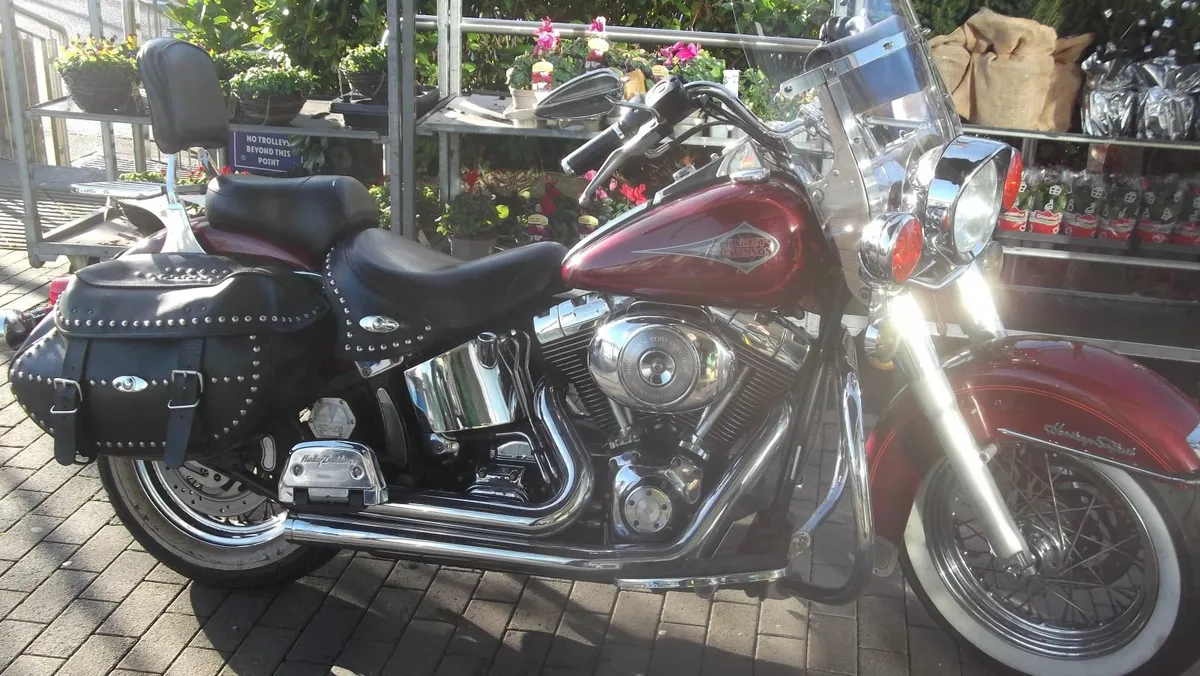 HARLEY DAVIDSON  05&01 softail .TRADE UP - Image 2