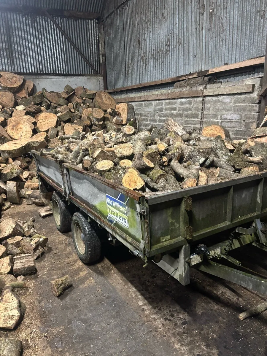 Firewood/ hardwood - Image 1