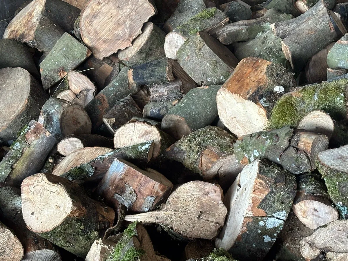 Firewood/ hardwood - Image 2