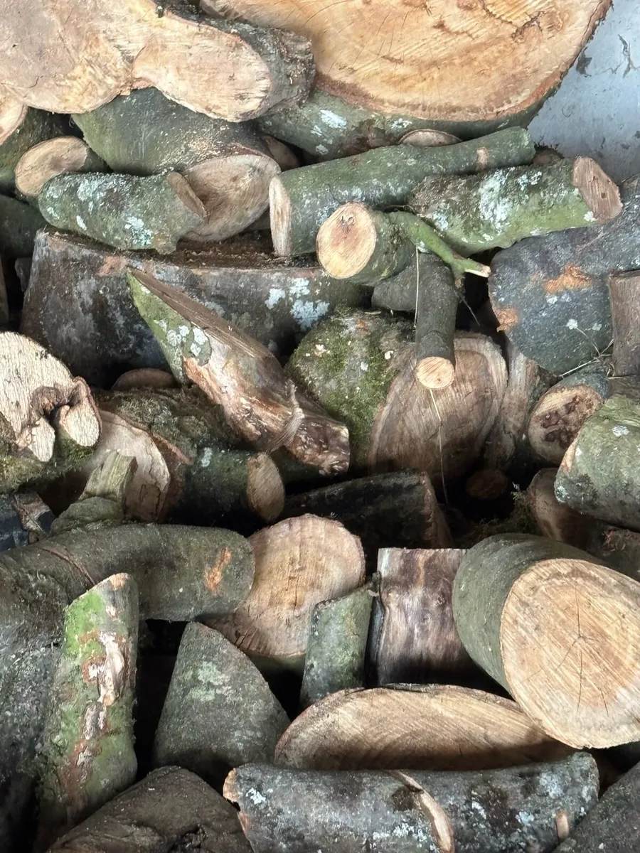 Firewood/ hardwood - Image 3