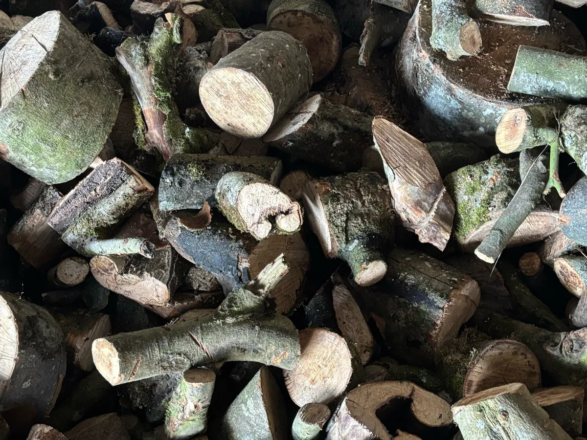 Firewood/ hardwood - Image 4