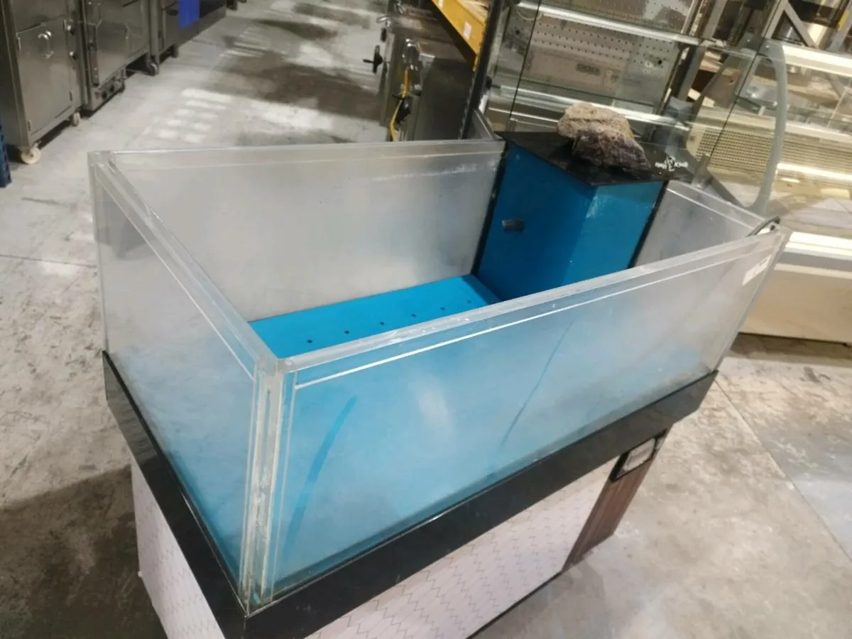 Lobster tank - Image 2