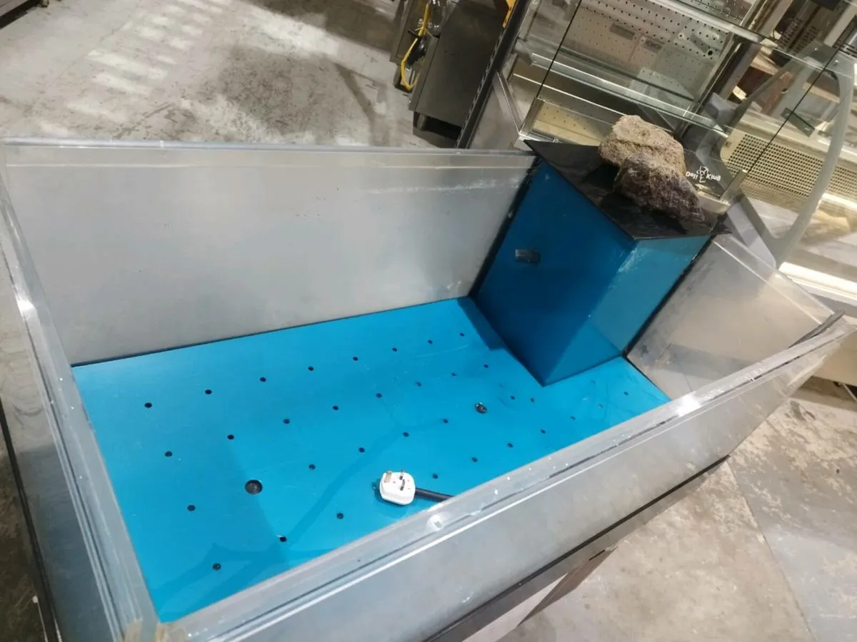 Lobster tank - Image 3