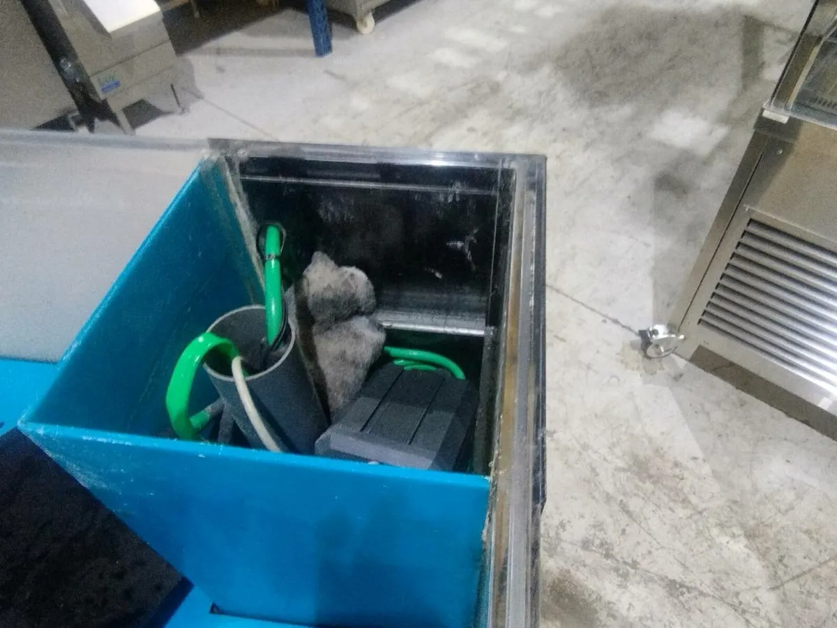 Lobster tank - Image 4