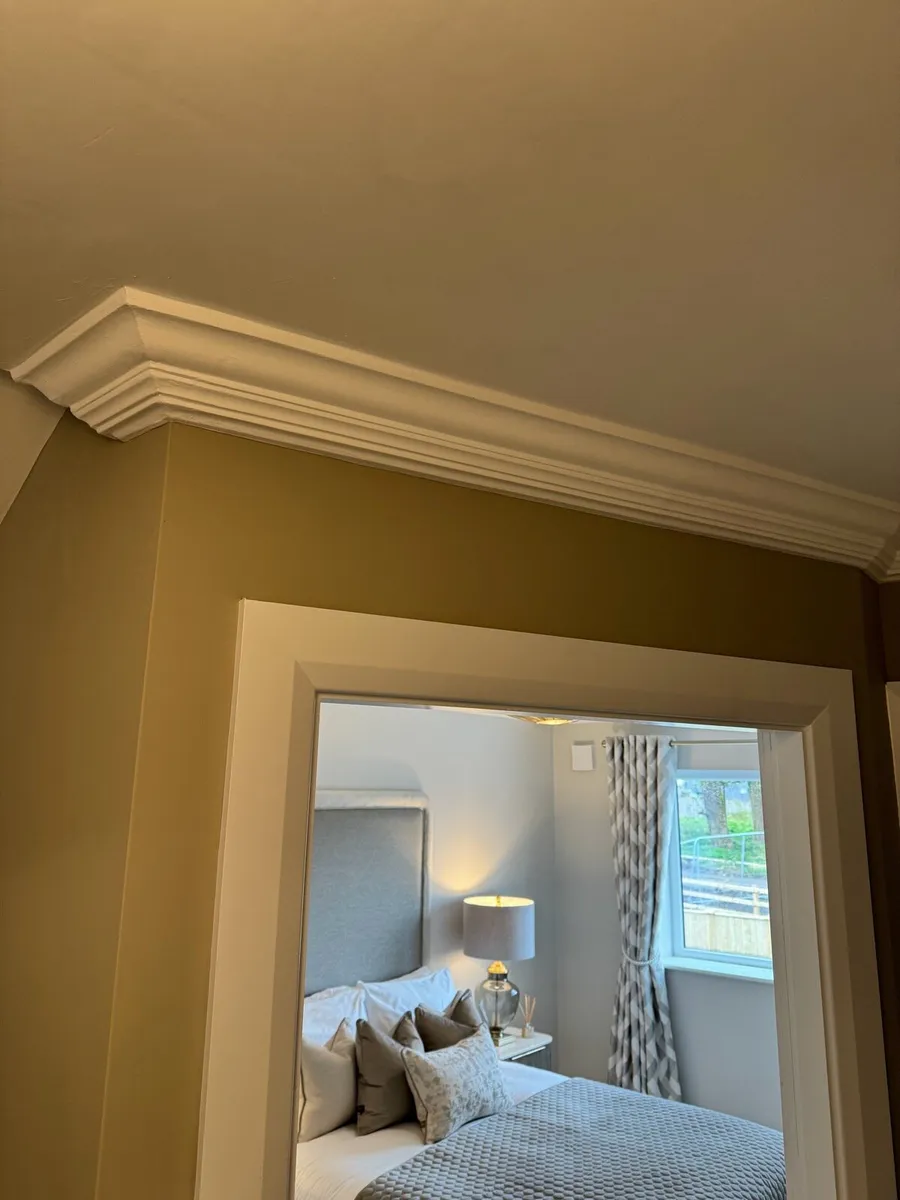 Plaster Mouldings Coving - Image 4