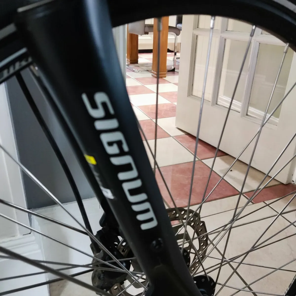 Electric Bicycle - Image 2