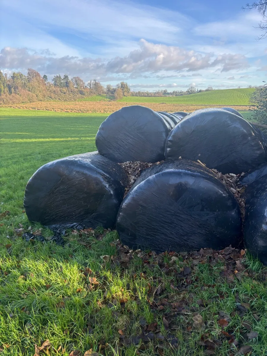 Round bales