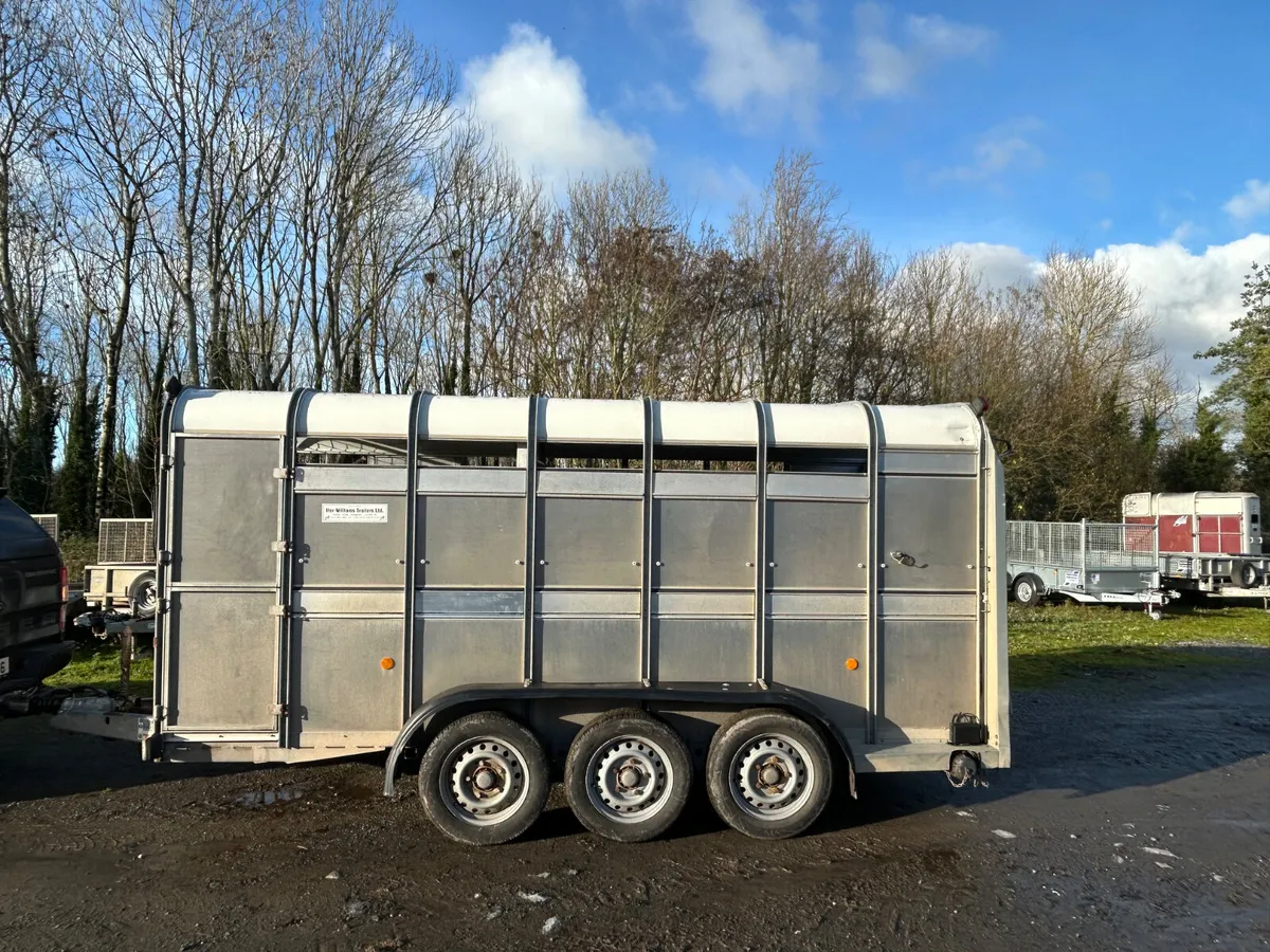 Ifor Williams Ta510 14ft Tri Axle Cattle Trailer - Image 4