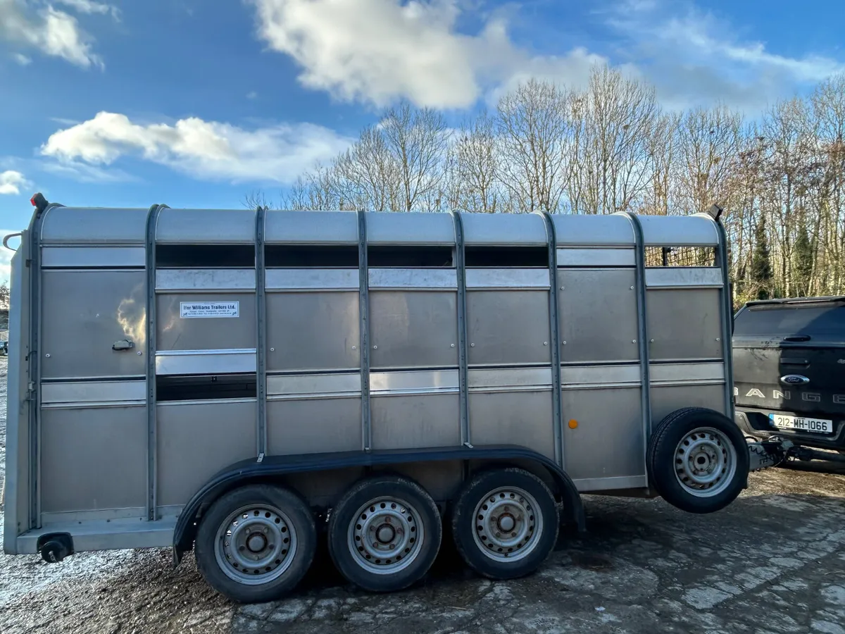 Ifor Williams Ta510 14ft Tri Axle Cattle Trailer - Image 1