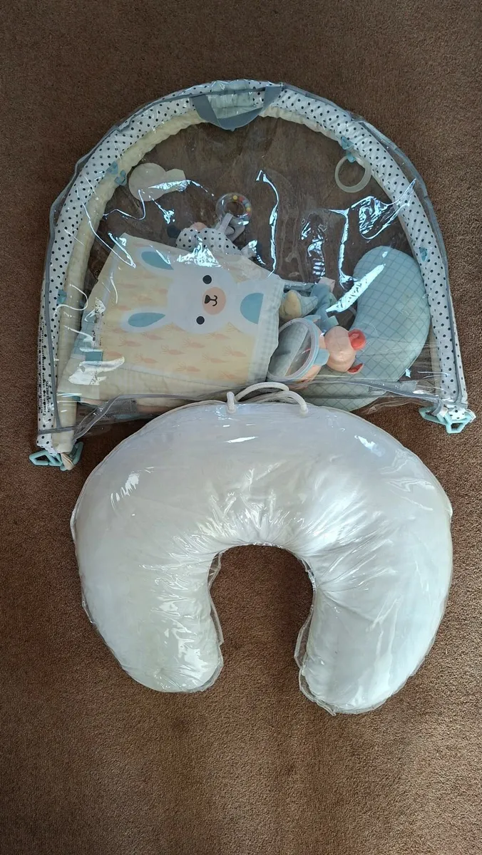 Baby Playmat & Nursing Pillow