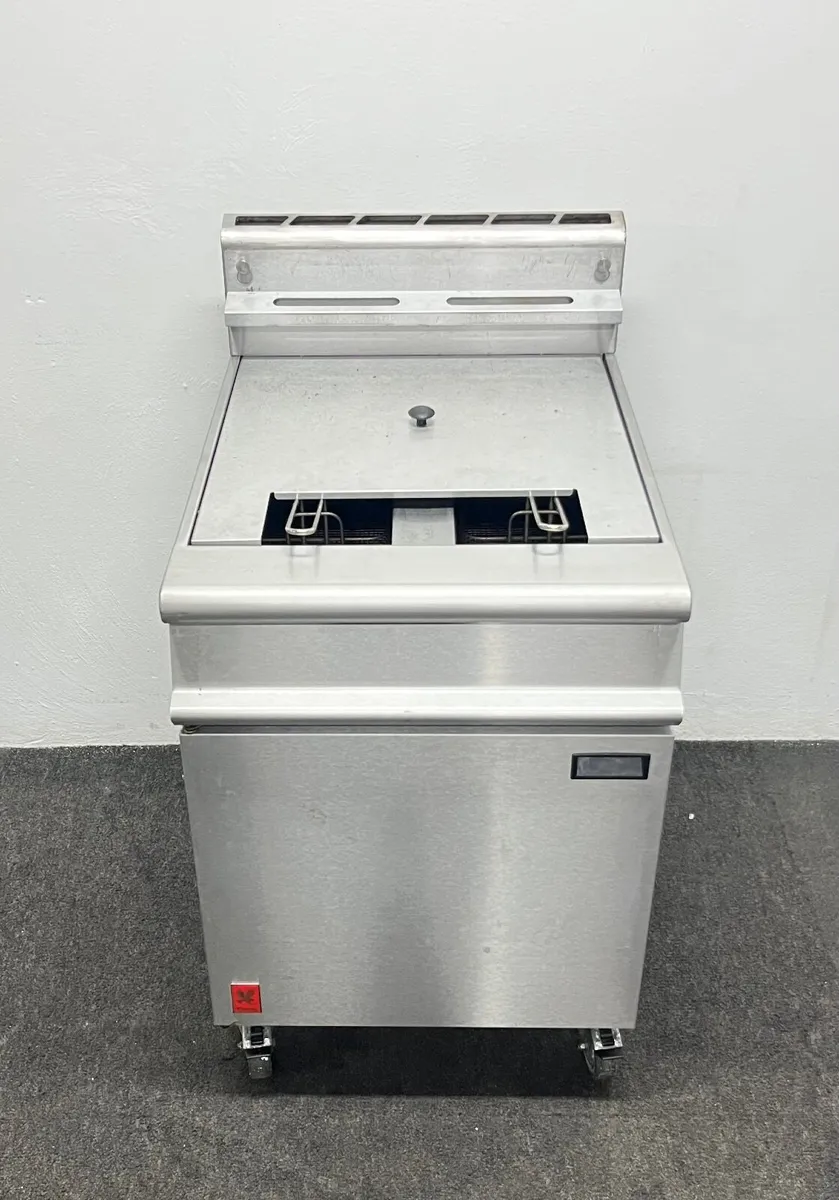 PROFIT NOW, BUY LATER! GET IT NOW! Twin Tank Fryer - Image 4