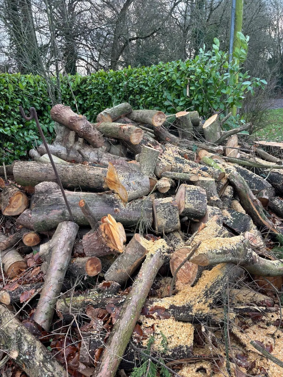 FREE!!  Logs - Image 1