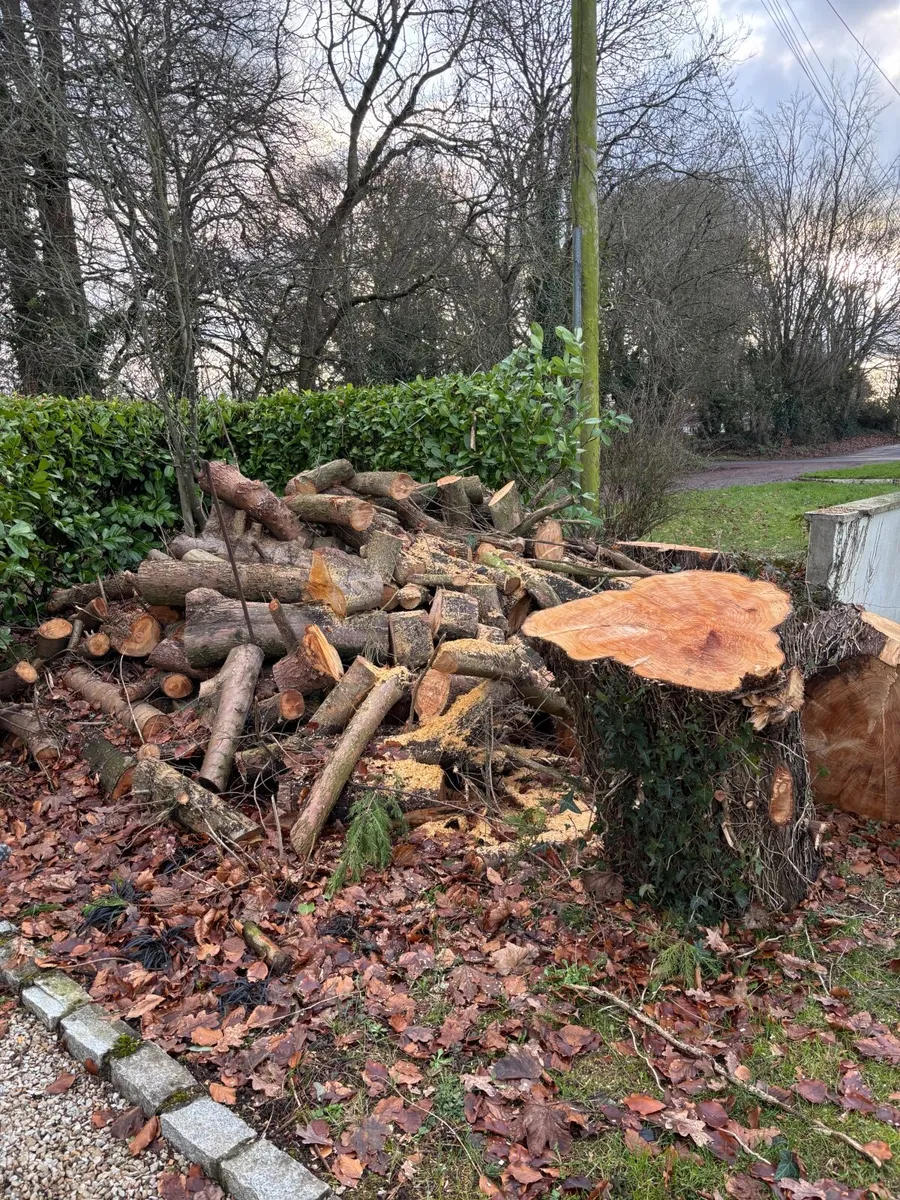 FREE!!  Logs - Image 2